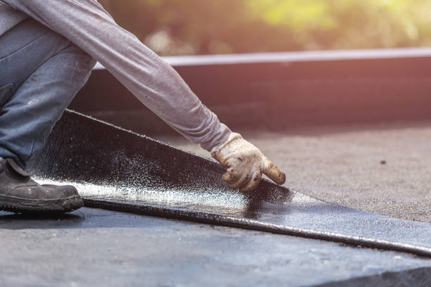 Professional Interior Drainage System technician working in Ashley, OH